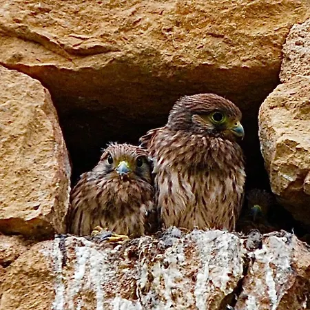 Jean Moulierat ベッド・アンド・ブレックファスト 3*