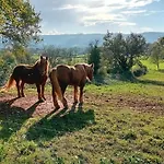 Manoir Du Boscau, Jean Moulierat Отель типа 