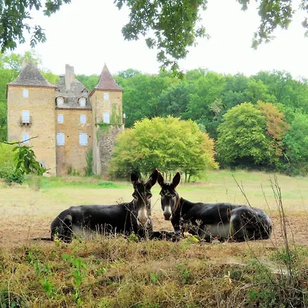 Chateau Du Boscau, Jean Moulierat 3*
