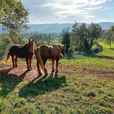 Manoir Du Boscau, Jean Moulierat Bed & Breakfast 3*